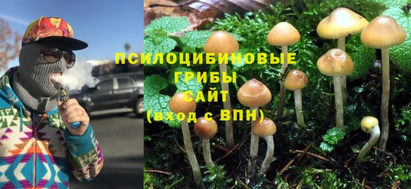 первитин Алексин
