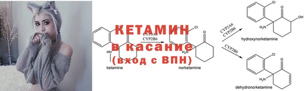 ГАЛЛЮЦИНОГЕННЫЕ ГРИБЫ Алексеевка