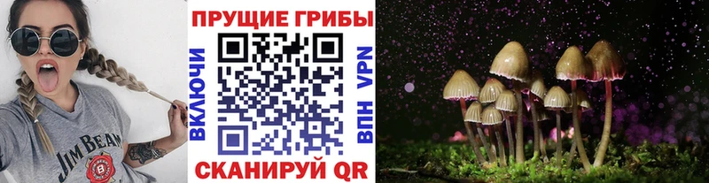 мега   нарко площадка наркотические препараты  Псилоцибиновые грибы Magic Shrooms  Узловая 